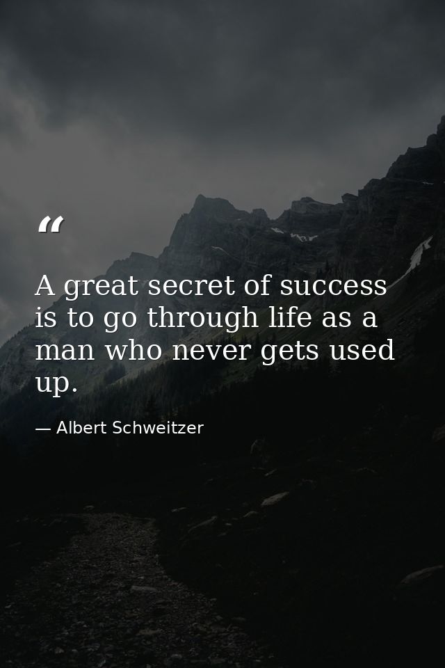 A great secret of success is to go through life as a man who never gets used up. — Albert Schweitzer
