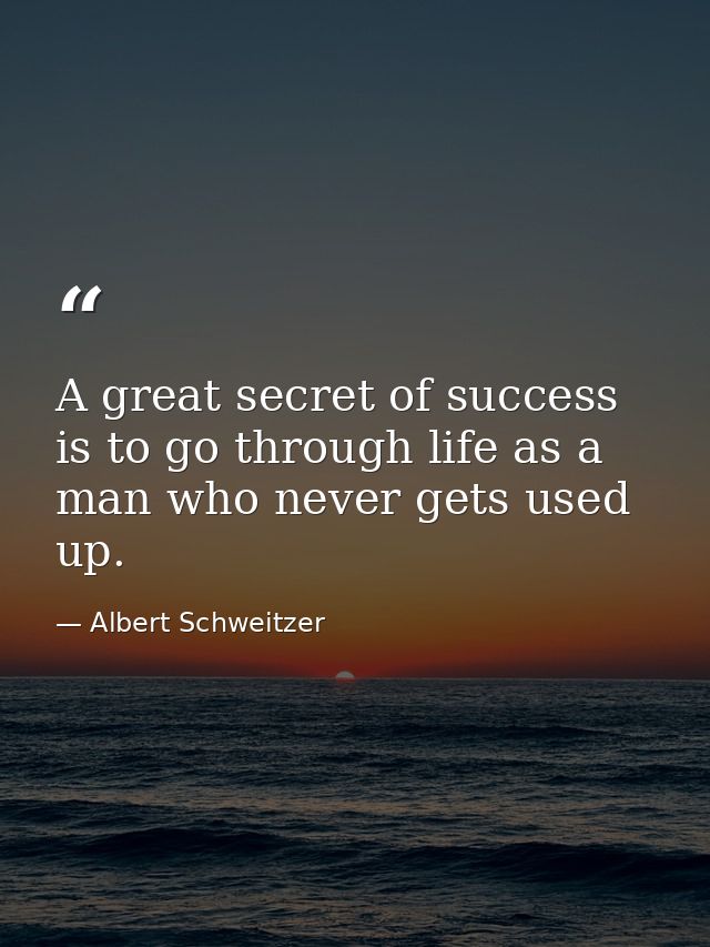 A great secret of success is to go through life as a man who never gets used up. — Albert Schweitzer