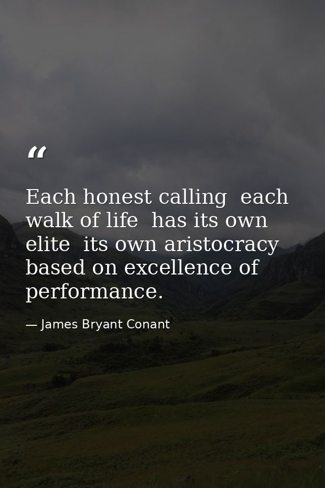 Each honest calling  each walk of life  has its own elite  its own aristocracy based on excellence of performance. — James Bryant Conant