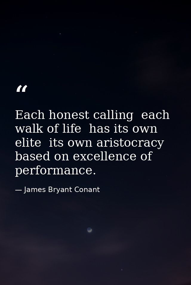 Each honest calling  each walk of life  has its own elite  its own aristocracy based on excellence of performance. — James Bryant Conant