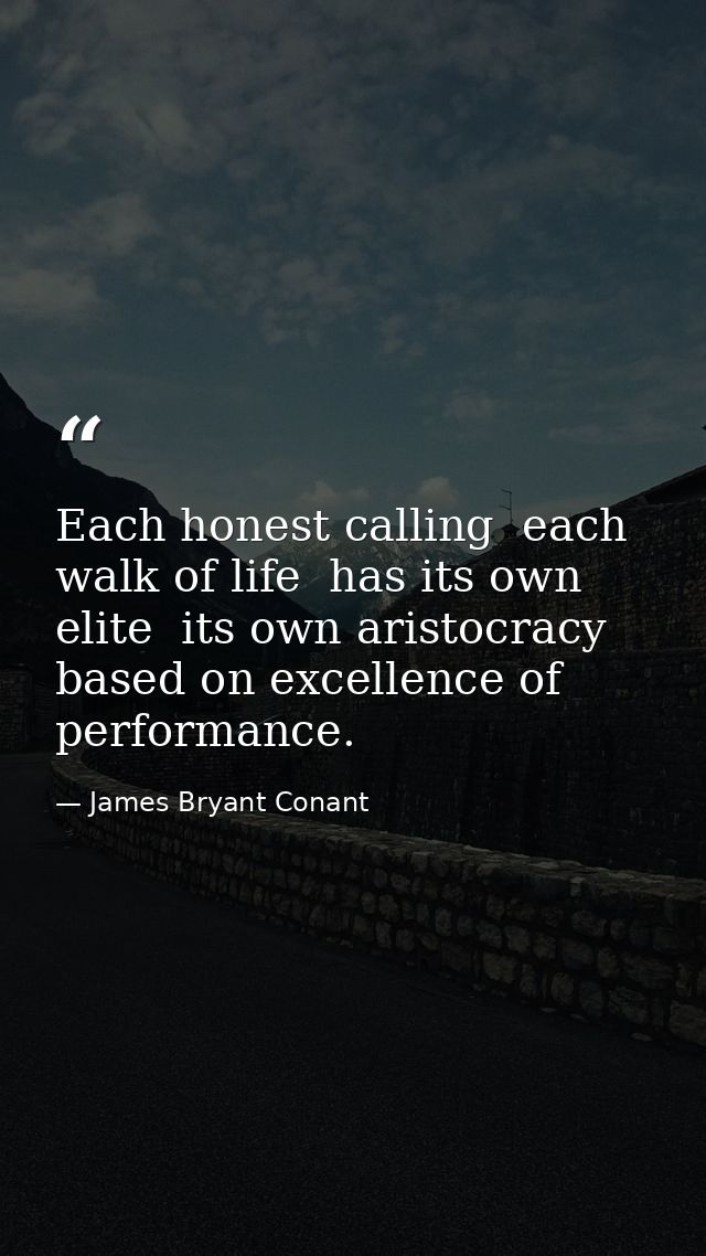 Each honest calling  each walk of life  has its own elite  its own aristocracy based on excellence of performance. — James Bryant Conant