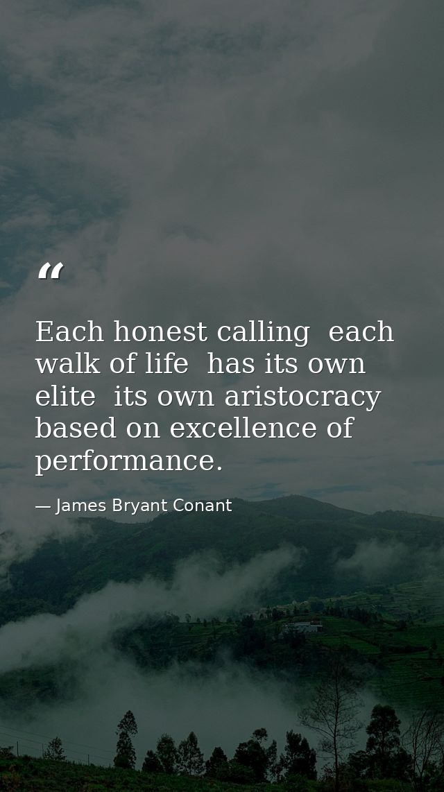 Each honest calling  each walk of life  has its own elite  its own aristocracy based on excellence of performance. — James Bryant Conant