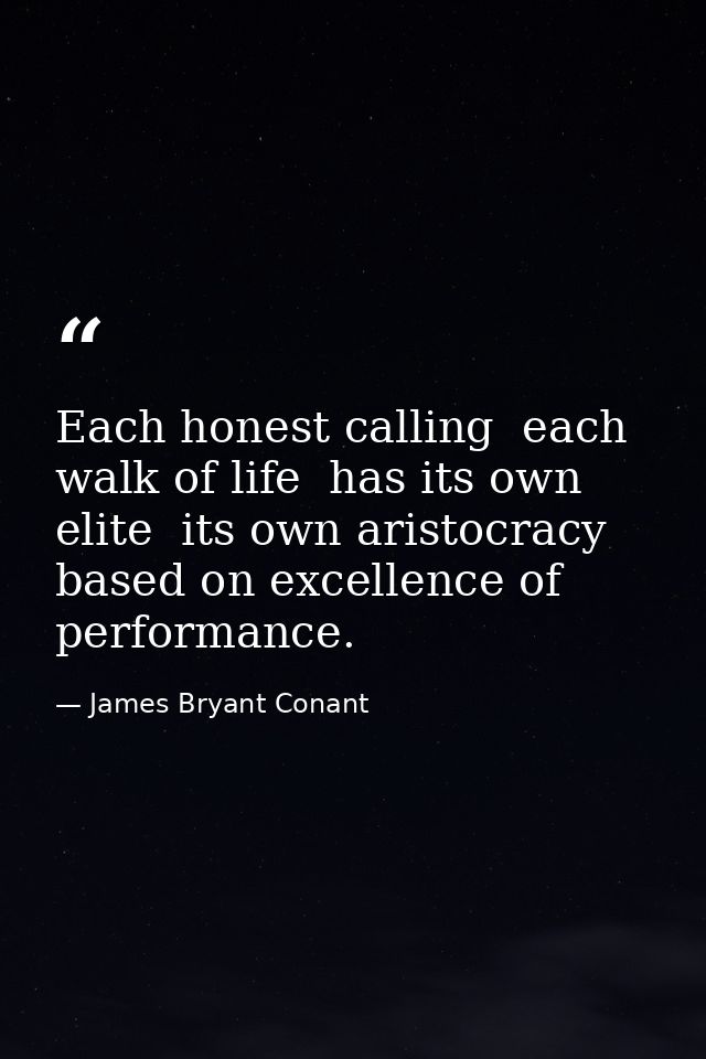 Each honest calling  each walk of life  has its own elite  its own aristocracy based on excellence of performance. — James Bryant Conant