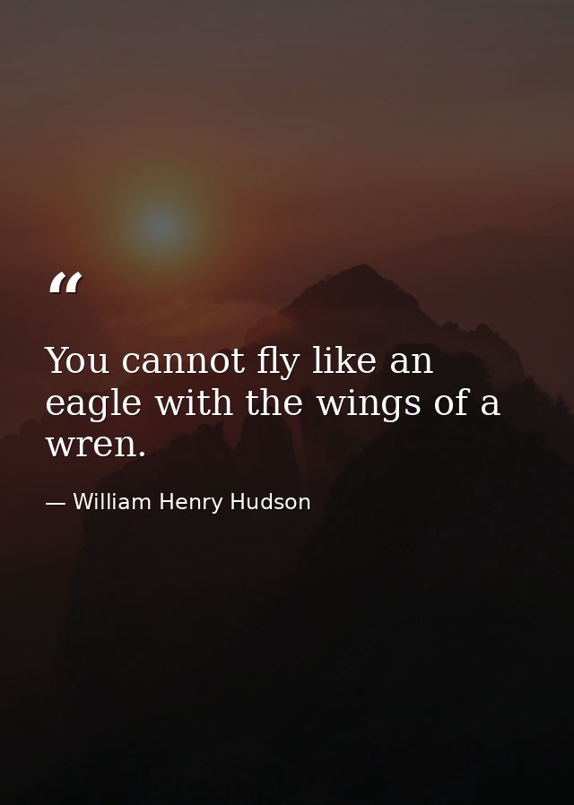 You cannot fly like an eagle with the wings of a wren. — William Henry Hudson