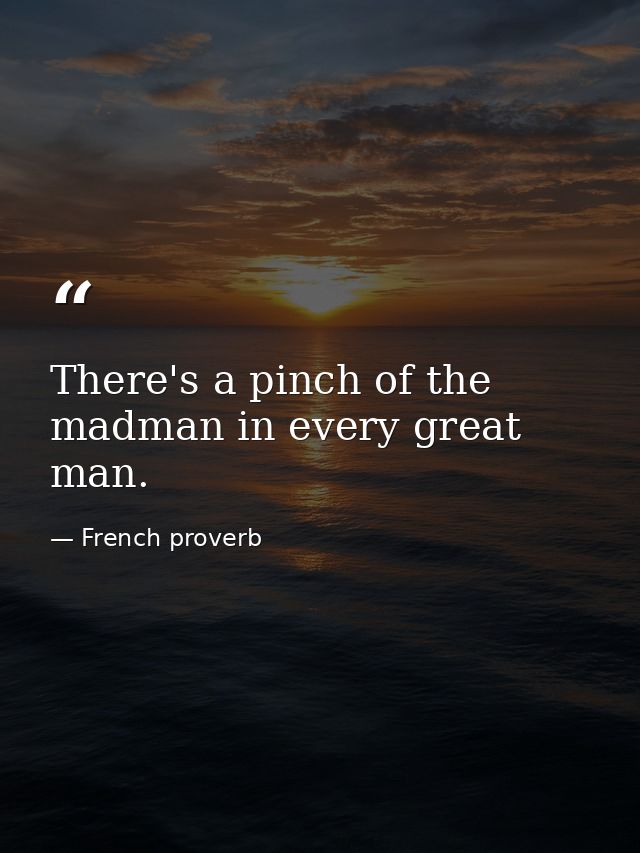 There's a pinch of the madman in every great man. — French proverb