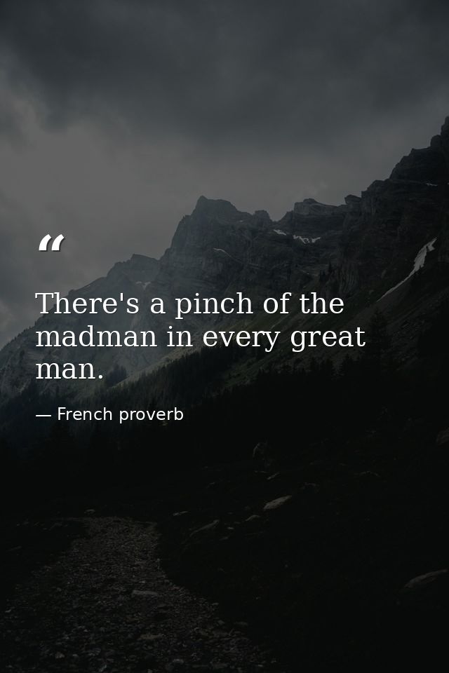 There's a pinch of the madman in every great man. — French proverb