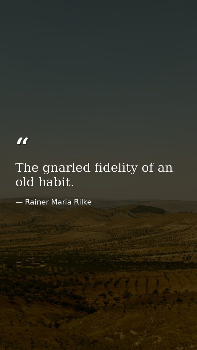The gnarled fidelity of an old habit. — Rainer Maria Rilke