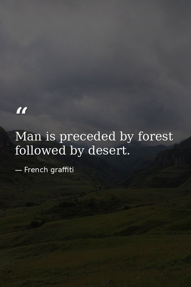 Man is preceded by forest followed by desert. — French graffiti