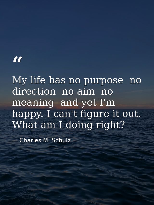 My life has no purpose  no direction  no aim  no meaning  and yet I'm happy. I can't figure it out. What am I doing righ — Charles M. Schulz