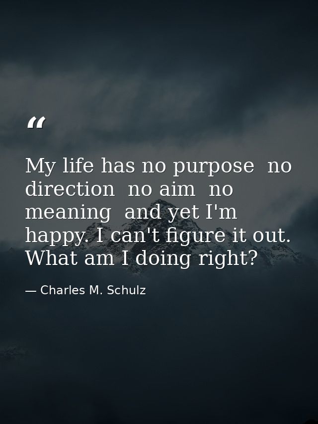 My life has no purpose  no direction  no aim  no meaning  and yet I'm happy. I can't figure it out. What am I doing righ — Charles M. Schulz