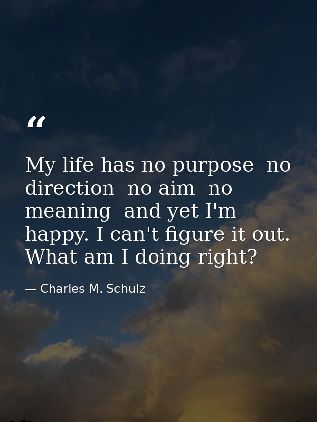 My life has no purpose  no direction  no aim  no meaning  and yet I'm happy. I can't figure it out. What am I doing righ — Charles M. Schulz