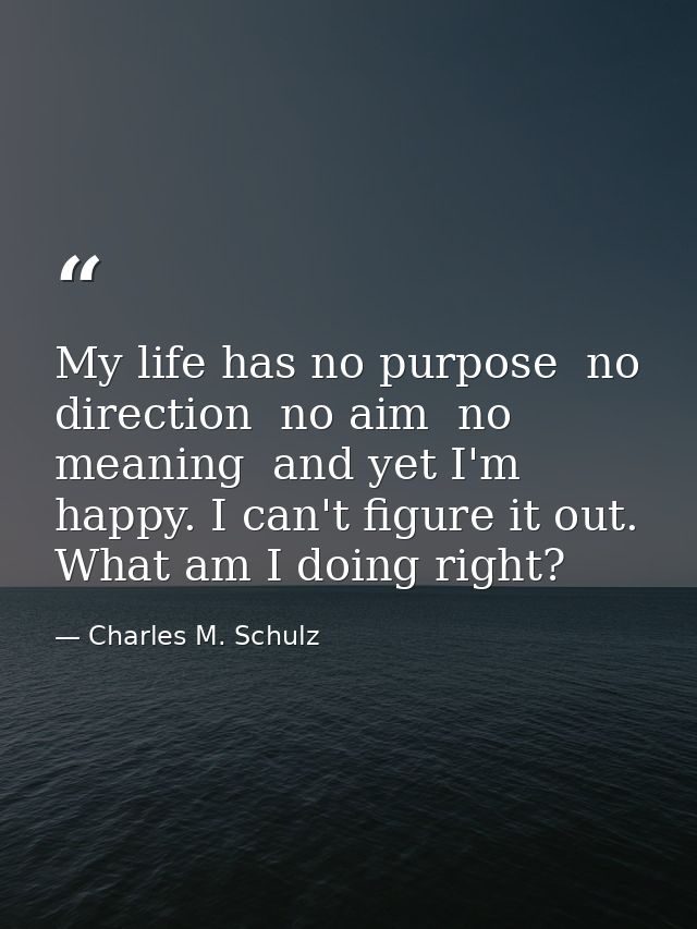 My life has no purpose  no direction  no aim  no meaning  and yet I'm happy. I can't figure it out. What am I doing righ — Charles M. Schulz