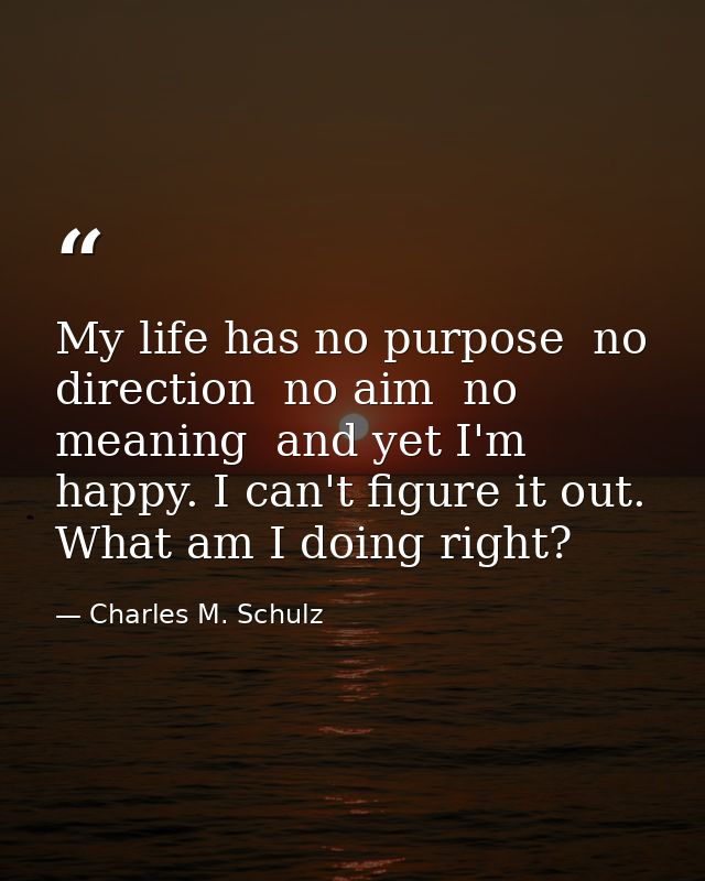My life has no purpose  no direction  no aim  no meaning  and yet I'm happy. I can't figure it out. What am I doing righ — Charles M. Schulz