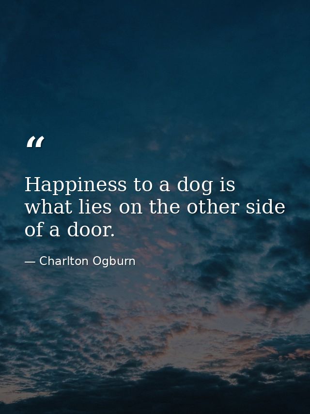 Happiness to a dog is what lies on the other side of a door. — Charlton Ogburn