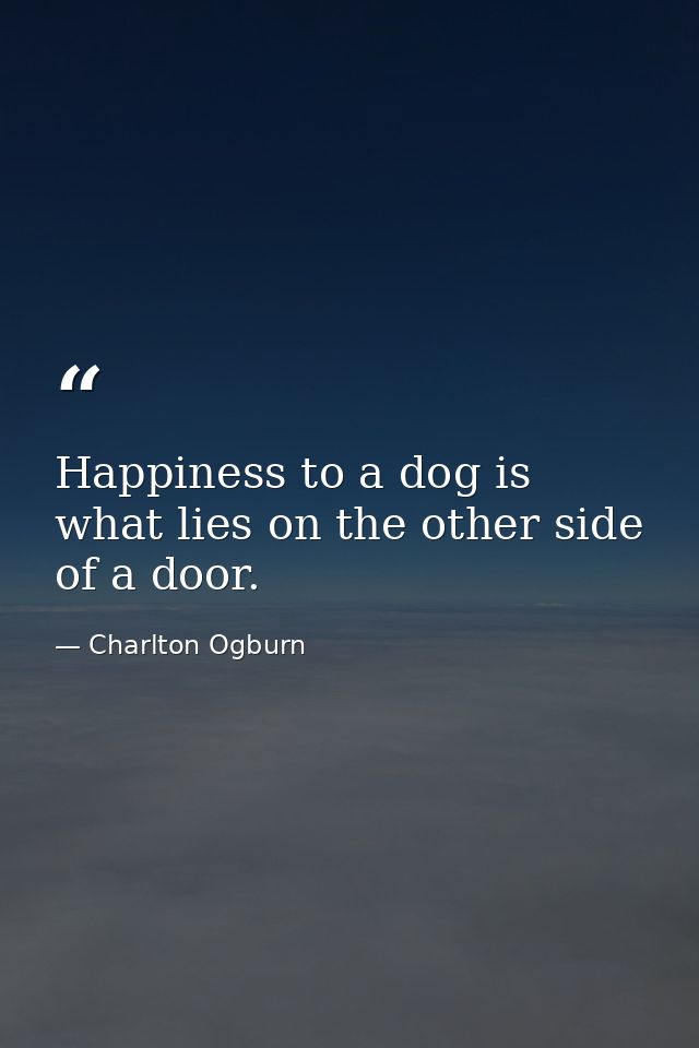 Happiness to a dog is what lies on the other side of a door. — Charlton Ogburn