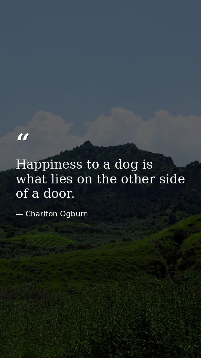 Happiness to a dog is what lies on the other side of a door. — Charlton Ogburn