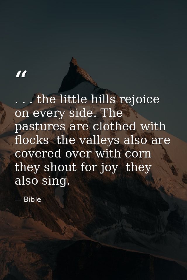 . . . the little hills rejoice on every side. The pastures are clothed with flocks  the valleys also are covered over wi — Bible