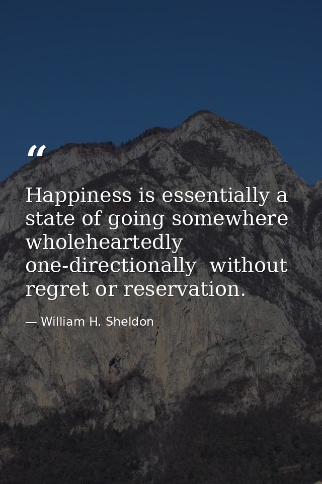 Happiness is essentially a state of going somewhere  wholeheartedly  one-directionally  without regret or reservation. — William H. Sheldon