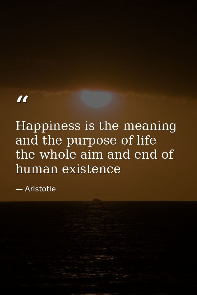 Happiness is the meaning and the purpose of life  the whole aim and end of human existence — Aristotle