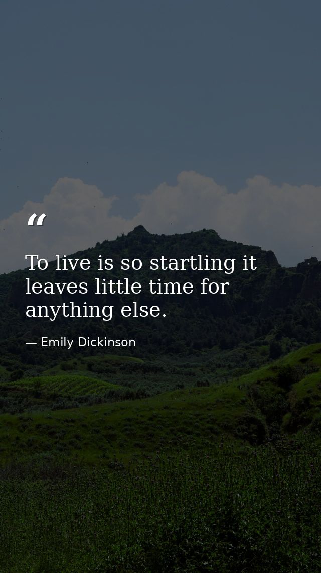 To live is so startling it leaves little time for anything else. — Emily Dickinson