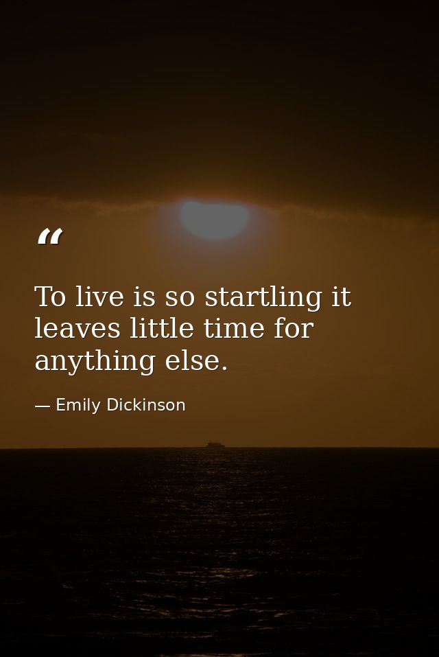To live is so startling it leaves little time for anything else. — Emily Dickinson