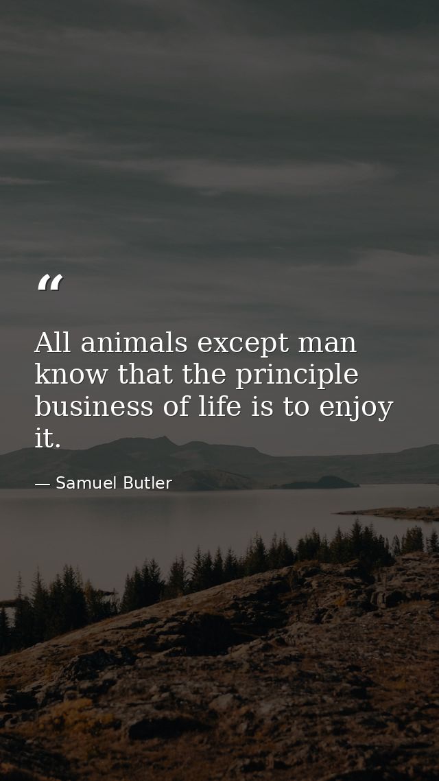 All animals except man know that the principle business of life is to enjoy it. — Samuel Butler