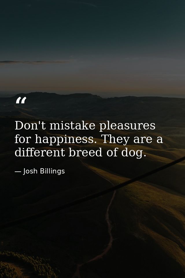 Don't mistake pleasures for happiness. They are a different breed of dog. — Josh Billings