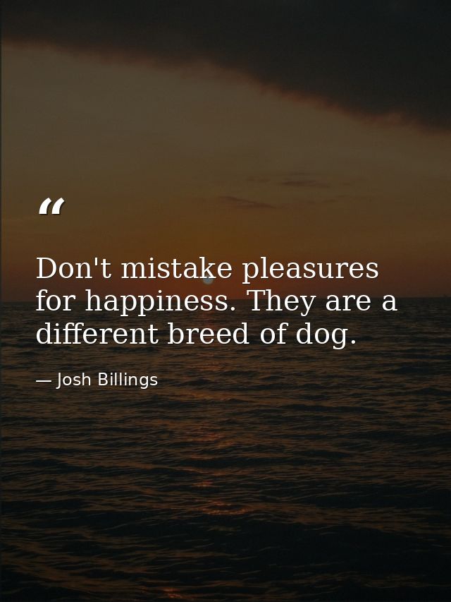 Don't mistake pleasures for happiness. They are a different breed of dog. — Josh Billings