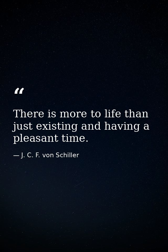 There is more to life than just existing and having a pleasant time. — J. C. F. von Schiller