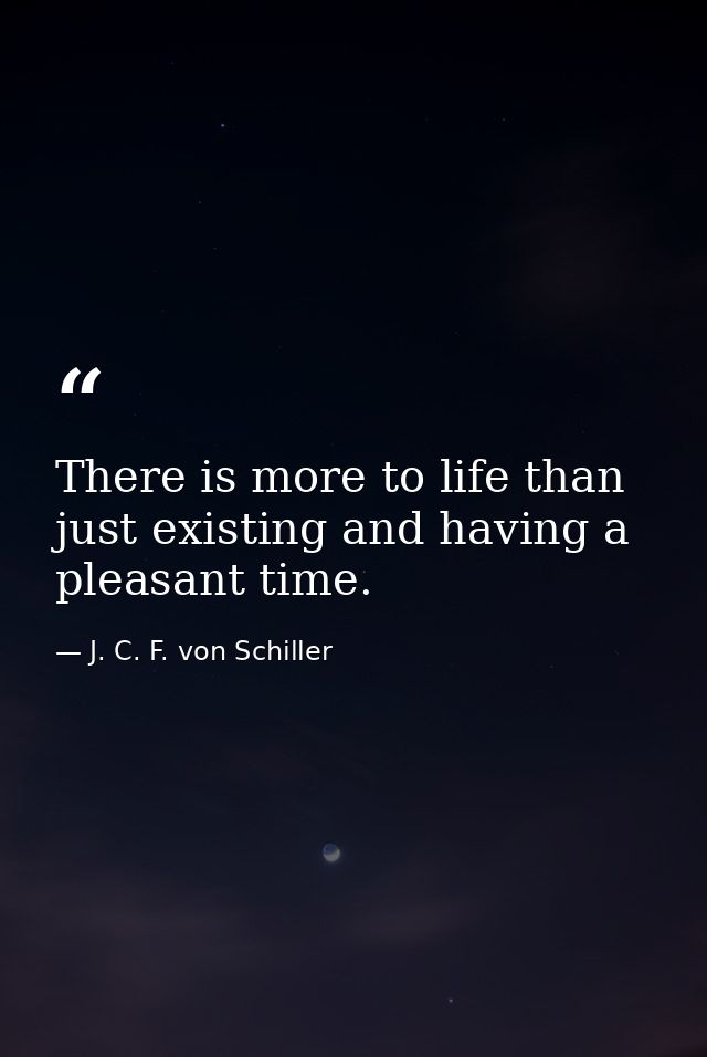 There is more to life than just existing and having a pleasant time. — J. C. F. von Schiller