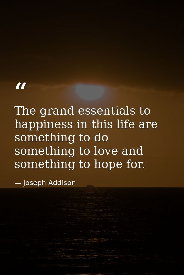 The grand essentials to happiness in this life are something to do  something to love and something to hope for. — Joseph Addison