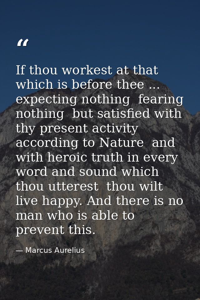 If thou workest at that which is before thee ... expecting nothing  fearing nothing  but satisfied with thy present acti — Marcus Aurelius