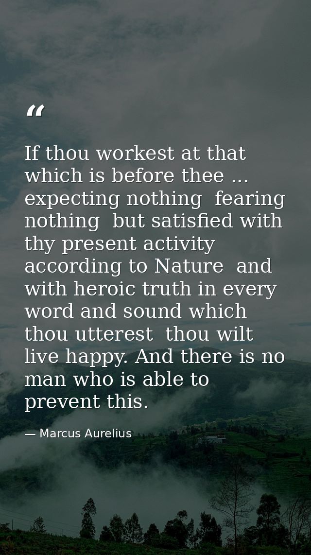 If thou workest at that which is before thee ... expecting nothing  fearing nothing  but satisfied with thy present acti — Marcus Aurelius