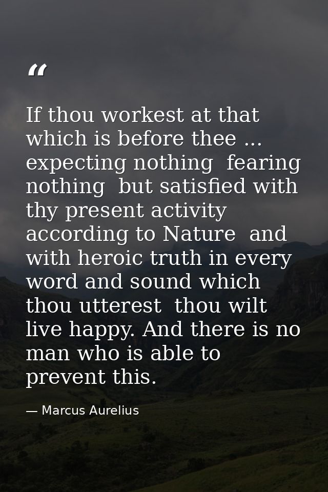 If thou workest at that which is before thee ... expecting nothing  fearing nothing  but satisfied with thy present acti — Marcus Aurelius
