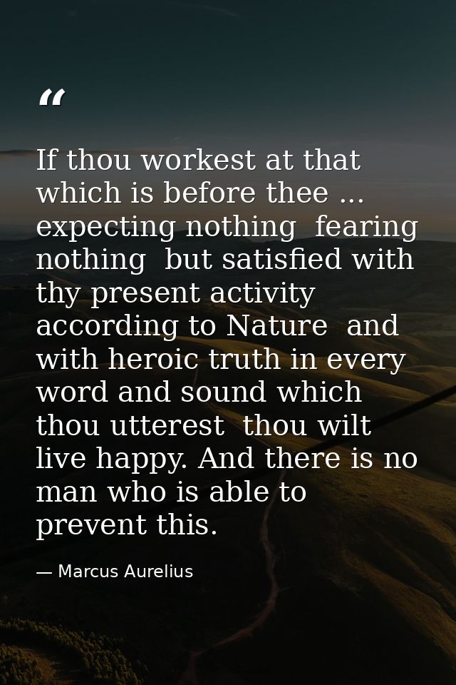If thou workest at that which is before thee ... expecting nothing  fearing nothing  but satisfied with thy present acti — Marcus Aurelius