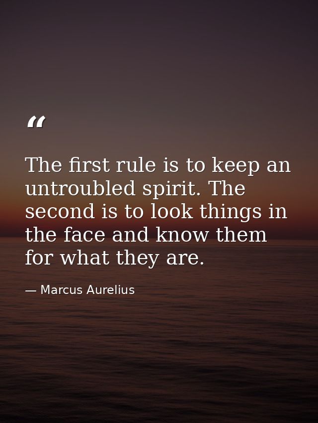 The first rule is to keep an untroubled spirit. The second is to look things in the face and know them for what they are — Marcus Aurelius