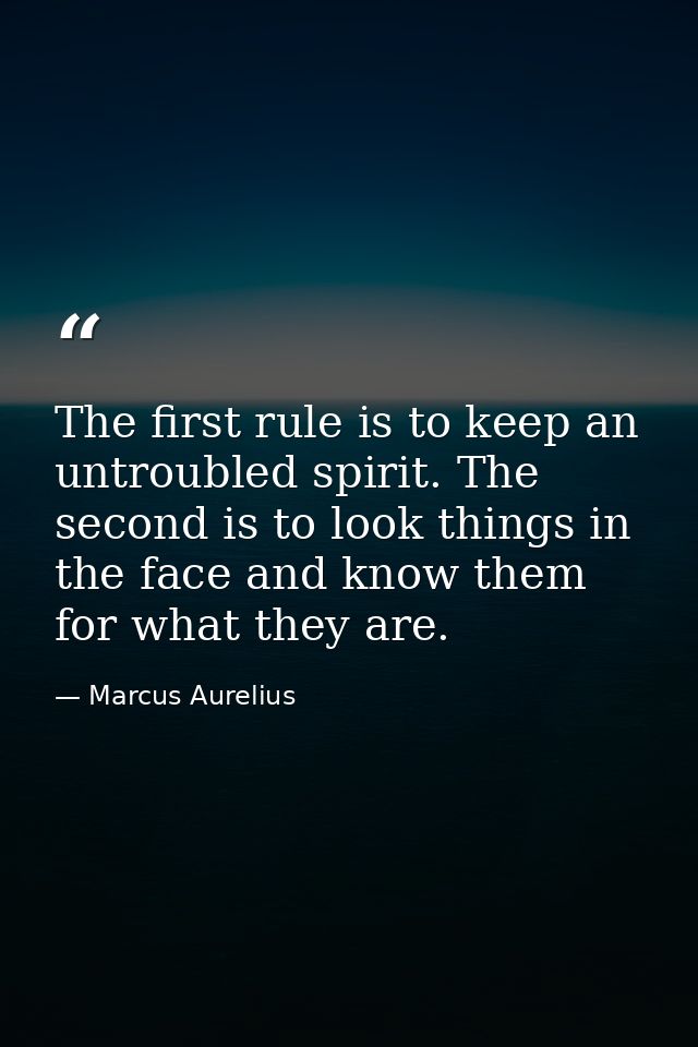 The first rule is to keep an untroubled spirit. The second is to look things in the face and know them for what they are — Marcus Aurelius