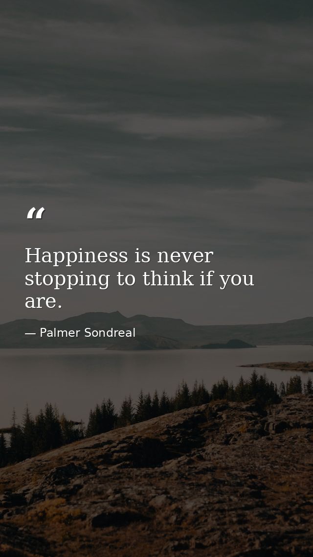 Happiness is never stopping to think if you are. — Palmer Sondreal
