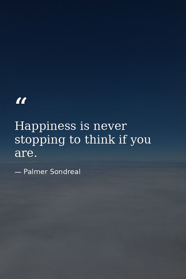 Happiness is never stopping to think if you are. — Palmer Sondreal