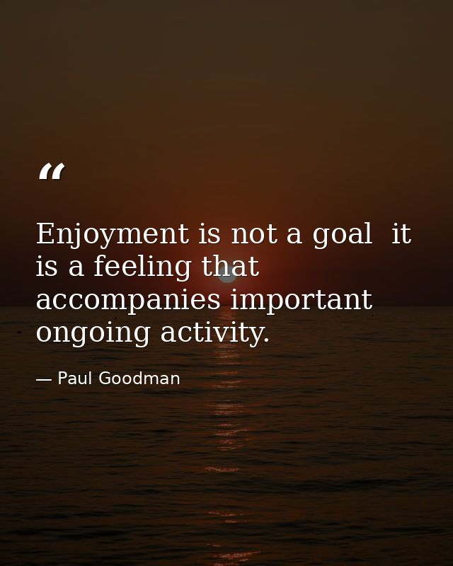 Enjoyment is not a goal  it is a feeling that accompanies important ongoing activity. — Paul Goodman