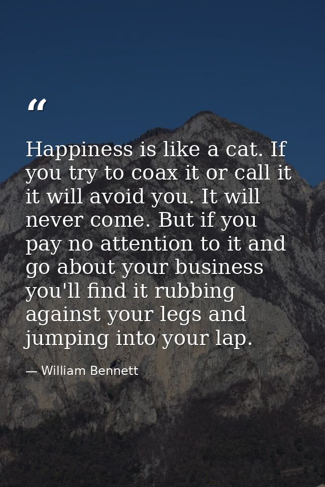 Happiness is like a cat. If you try to coax it or call it  it will avoid you. It will never come. But if you pay no atte — William Bennett