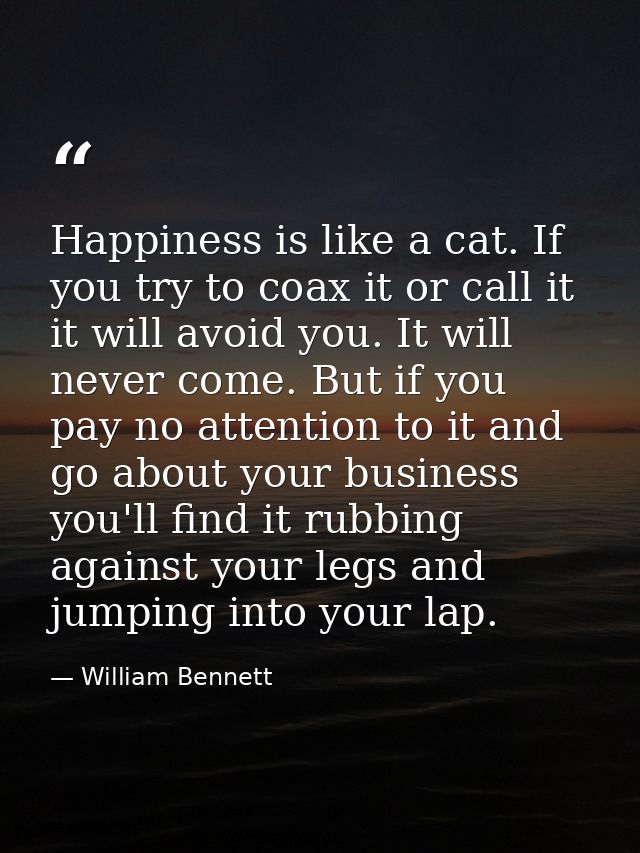 Happiness is like a cat. If you try to coax it or call it  it will avoid you. It will never come. But if you pay no atte — William Bennett