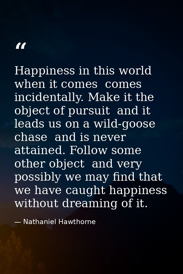 Happiness in this world  when it comes  comes incidentally. Make it the object of pursuit  and it leads us on a wild-goo — Nathaniel Hawthorne