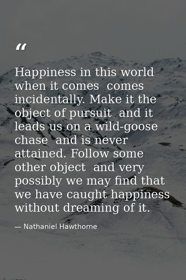 Happiness in this world  when it comes  comes incidentally. Make it the object of pursuit  and it leads us on a wild-goo — Nathaniel Hawthorne