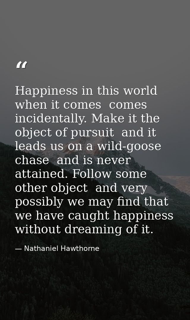 Happiness in this world  when it comes  comes incidentally. Make it the object of pursuit  and it leads us on a wild-goo — Nathaniel Hawthorne