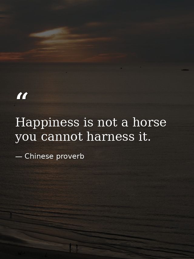 Happiness is not a horse  you cannot harness it. — Chinese proverb