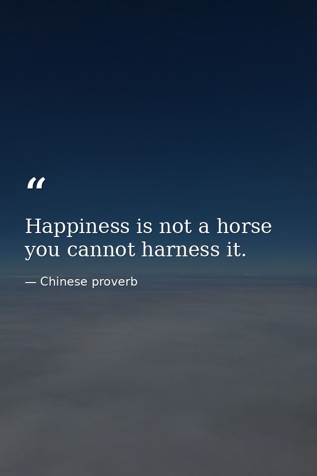 Happiness is not a horse  you cannot harness it. — Chinese proverb