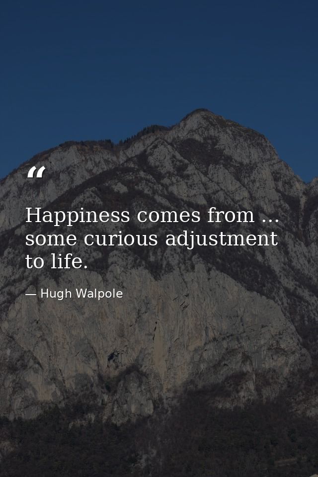 Happiness comes from ... some curious adjustment to life. — Hugh Walpole