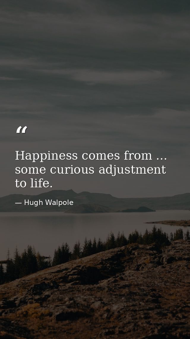 Happiness comes from ... some curious adjustment to life. — Hugh Walpole