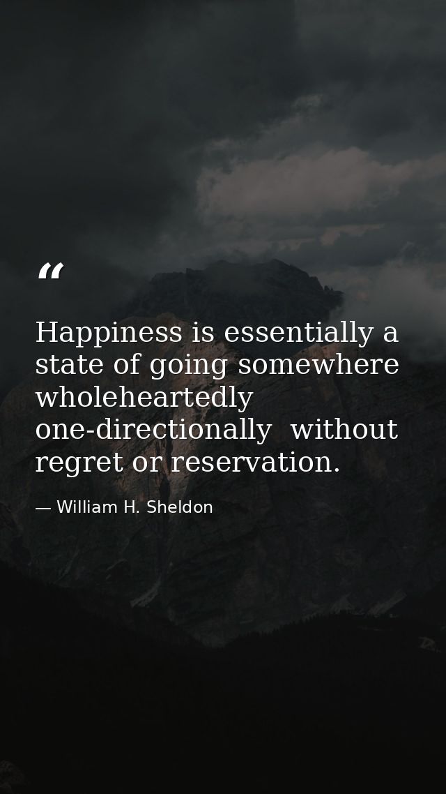 Happiness is essentially a state of going somewhere  wholeheartedly  one-directionally  without regret or reservation. — William H. Sheldon